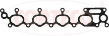 CORTECO 450335P