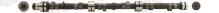 AE CAM394