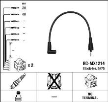 NGK 5975