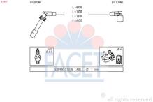 FACET 4.9947