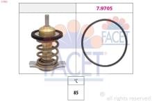 FACET 7.7953