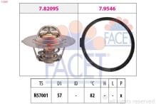 FACET 7.8209
