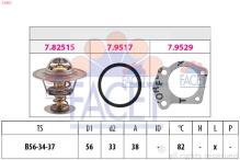FACET 7.8251