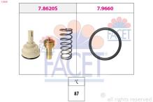 FACET 7.8620