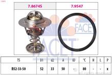 FACET 7.8674