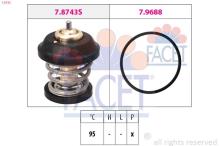 FACET 7.8743