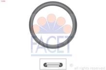 FACET 7.9598
