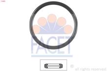 FACET 7.9606