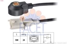 FACET 9.3030