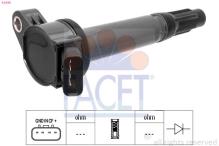 FACET 9.6438