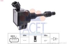 FACET 9.6534