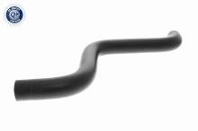 VAICO V24-1108