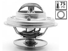 VALEO 819870