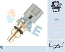 FAE 33736