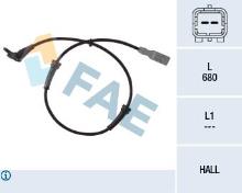 FAE 78036