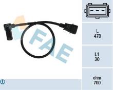 FAE 79015