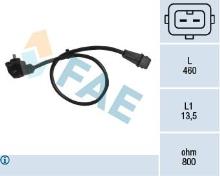 FAE 79018