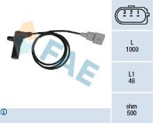 FAE 79064