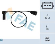 FAE 79066