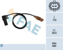 FAE 79077