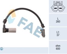 FAE 79086