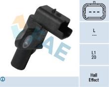 FAE 79155