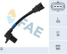 FAE 79528