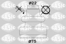 SASIC 1009359