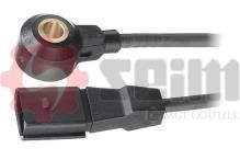 SEIM CC21