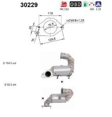 AS 30229