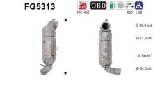 AS FG5313