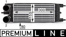 MAHLE Aftermarket CI 529 000P