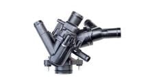 MAHLE Aftermarket TM 79 97
