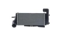 MAHLE Aftermarket CI 245 000S