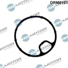 Lizarte, S.A. DRM0101