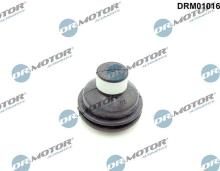 Lizarte, S.A. DRM01016