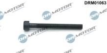 Lizarte, S.A. DRM01063