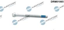Lizarte, S.A. DRM01065