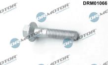 Lizarte, S.A. DRM01066