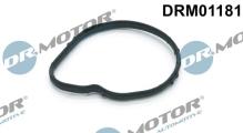 Lizarte, S.A. DRM01181