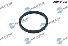 Lizarte, S.A. DRM01255