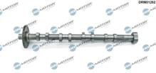 Lizarte, S.A. DRM01282