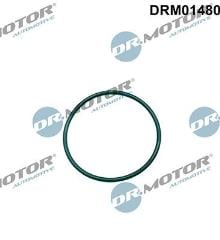 Lizarte, S.A. DRM01480