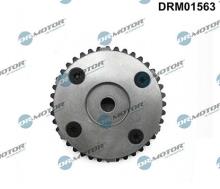Lizarte, S.A. DRM01563