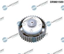 Lizarte, S.A. DRM01589