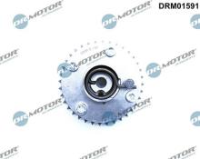 Lizarte, S.A. DRM01591