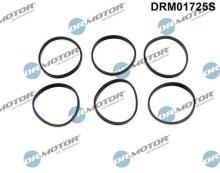 Lizarte, S.A. DRM01725S