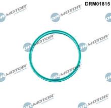 Lizarte, S.A. DRM01815