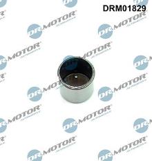 Lizarte, S.A. DRM01829