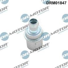 Lizarte, S.A. DRM01847